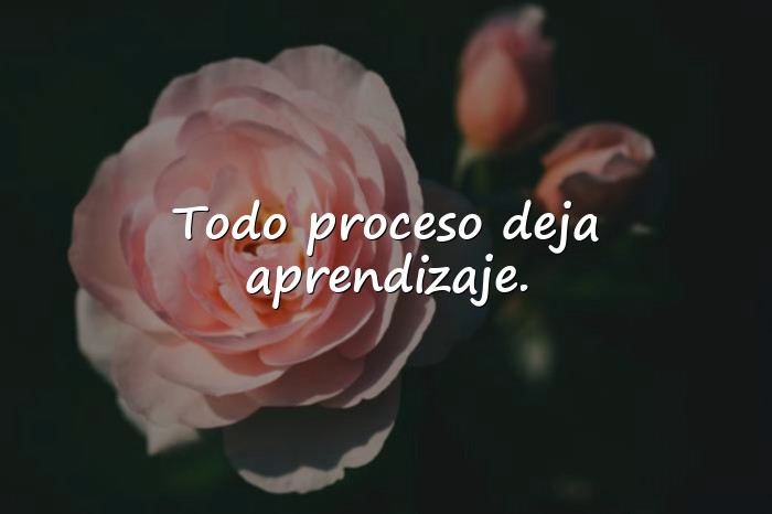 Imágenes frases de sabios - 11