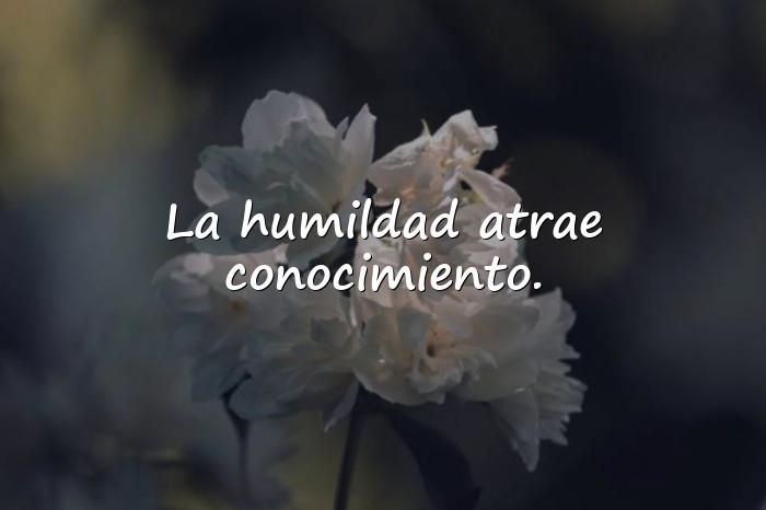 Imágenes frases de sabios - 6
