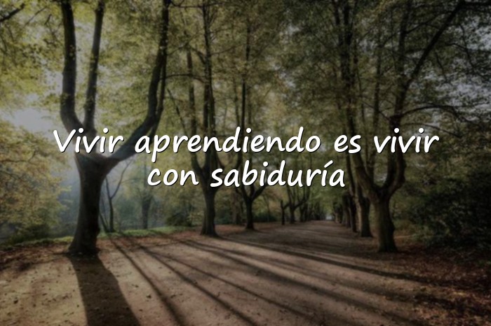 Imágenes frases de sabios - 1
