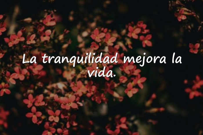 Imágenes frases de salud - 21