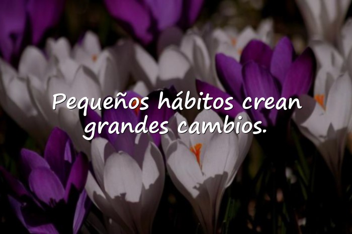 Imágenes frases de salud - 11
