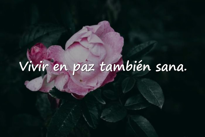 Imágenes frases de salud - 6