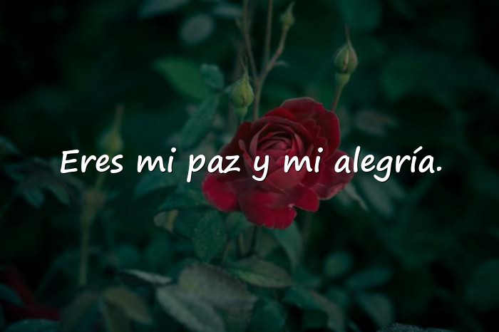 Imágenes frases de san valentin - 6