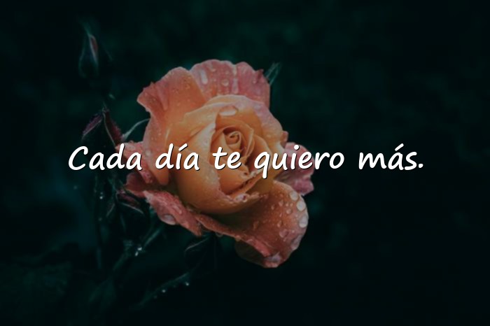 Imágenes frases de san valentin - 5
