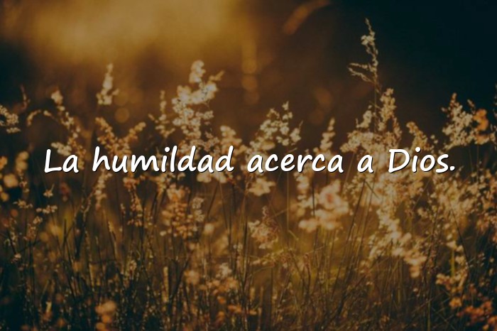 Imágenes frases de santos - 21