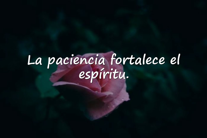 Imágenes frases de santos - 16