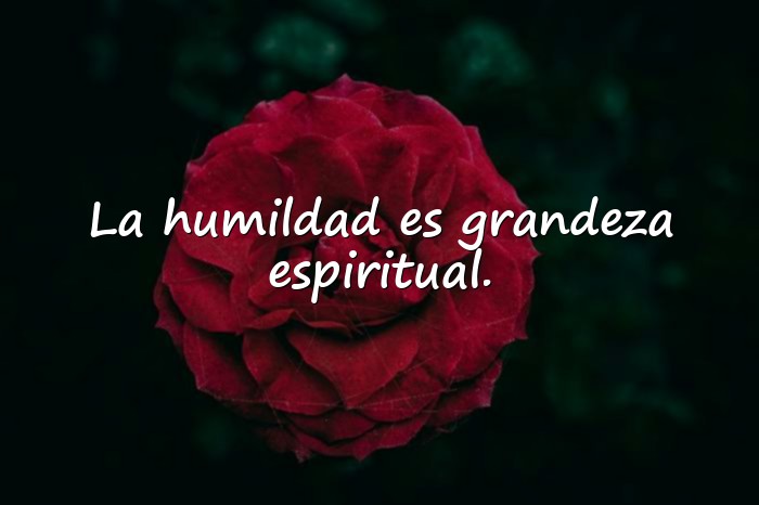 Imágenes frases de santos - 6