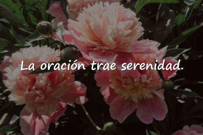 Imágenes frases de santos - 11