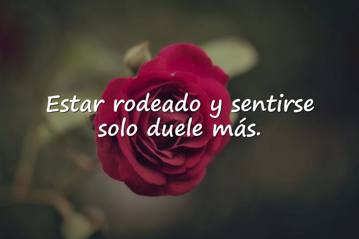 Imágenes frases de soledad y tristeza - 20