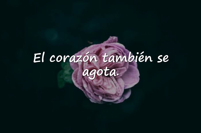 Imágenes frases de soledad y tristeza - 6