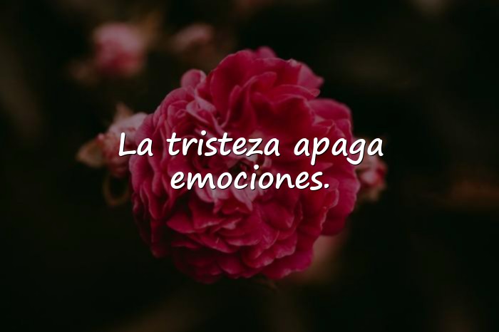 Imágenes frases de soledad y tristeza - 21