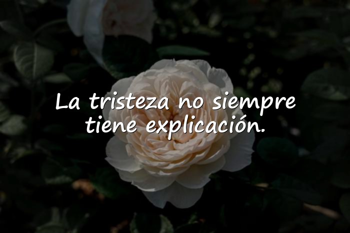 Imágenes frases de soledad y tristeza - 16