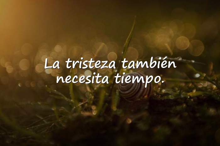 Imágenes frases de soledad y tristeza - 11