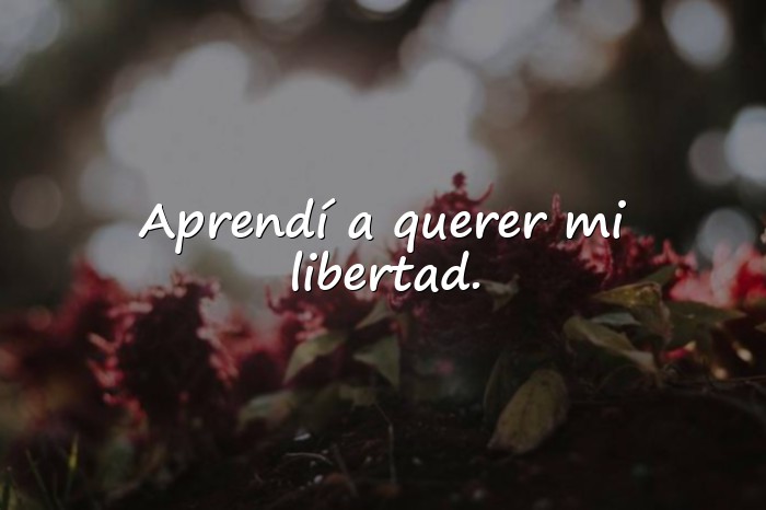 Imágenes frases de solteria - 20