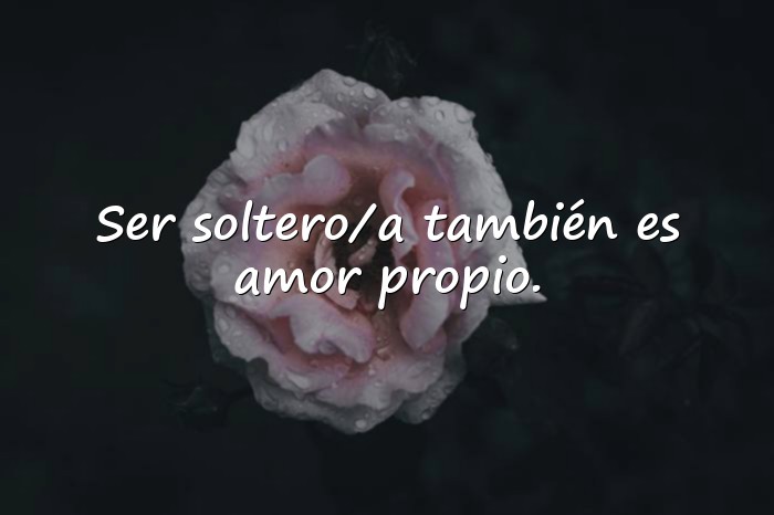 Imágenes frases de solteria - 15