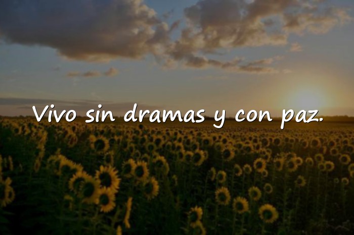 Imágenes frases de solteria - 10