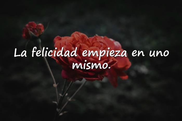 Imágenes frases de solteria - 20