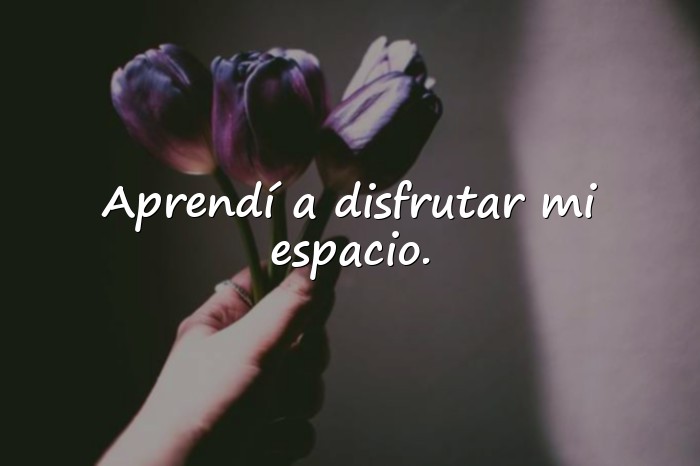 Imágenes frases de solteria - 15