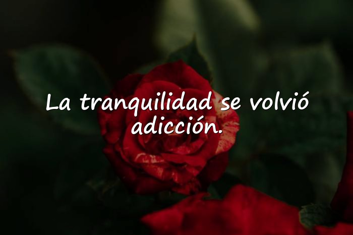 Imágenes frases de solteria - 10