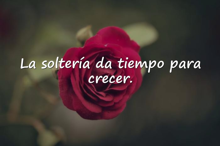 Imágenes frases de solteria - 6