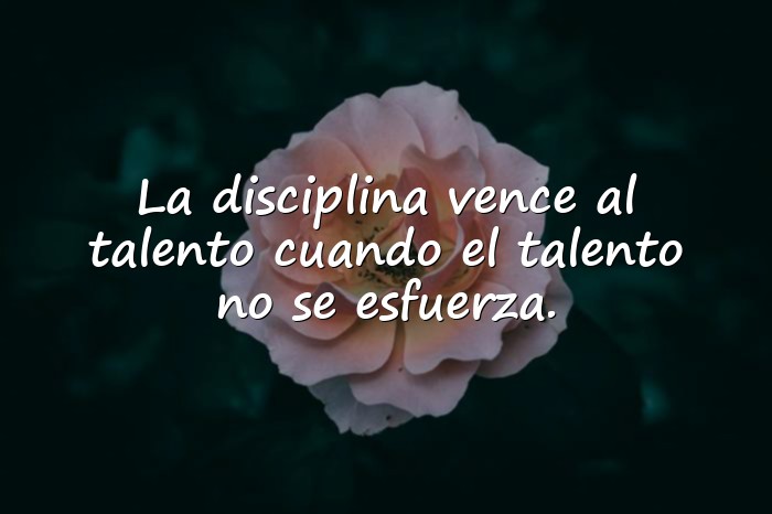 Imágenes frases de superacion - 17