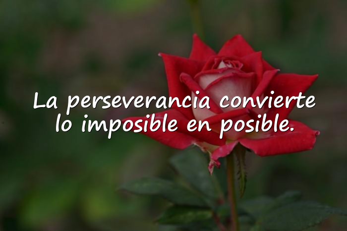 Imágenes frases de superacion - 8