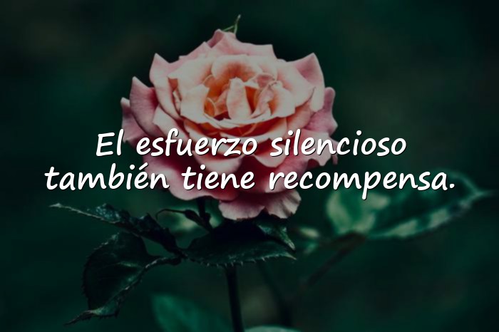 Imágenes frases de superacion - 19