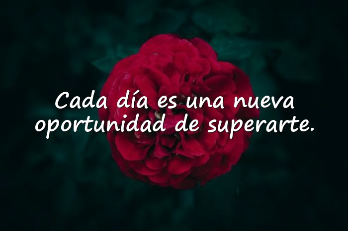 Imágenes frases de superacion - 14