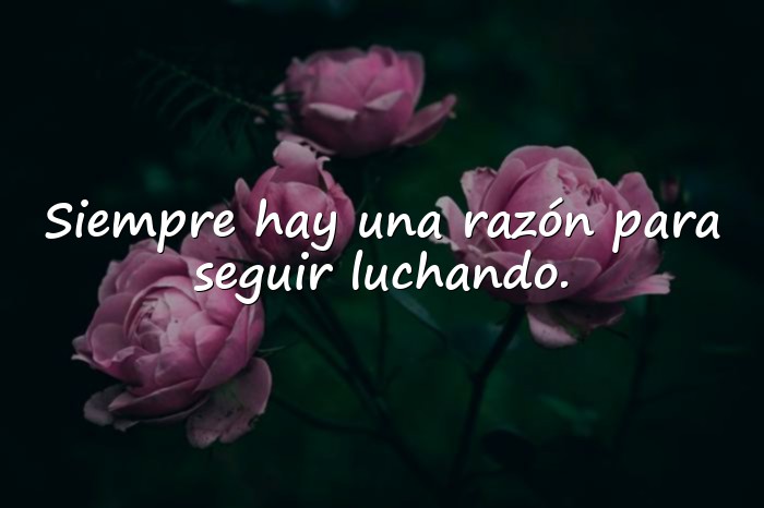 Imágenes frases de superacion - 1