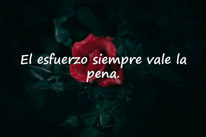 Imágenes frases de superacion personal - 23