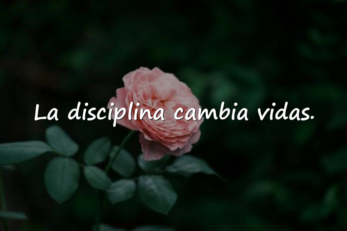 Imágenes frases de superacion personal - 19