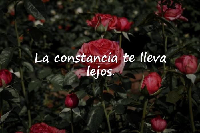 Imágenes frases de superacion personal - 17