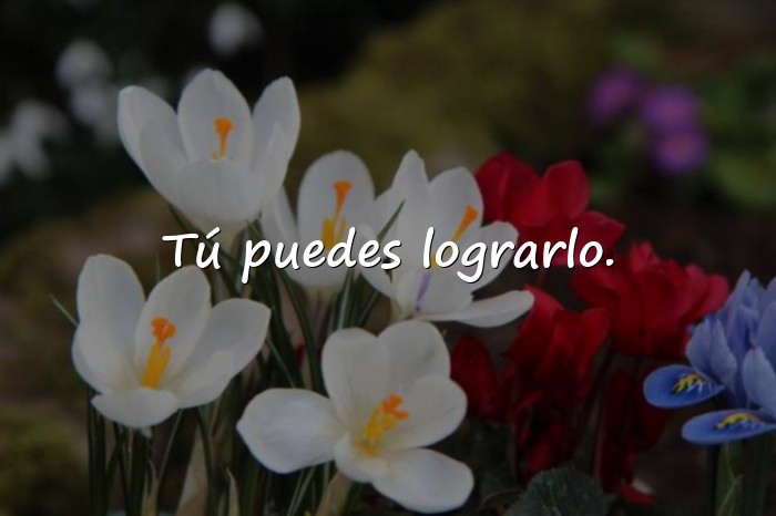Imágenes frases de superacion personal - 13