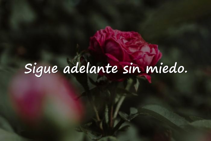 Imágenes frases de superacion personal - 12
