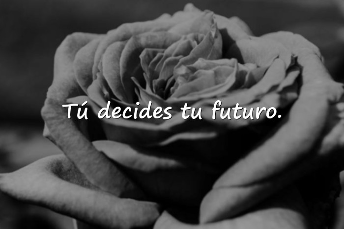 Imágenes frases de superacion personal - 4