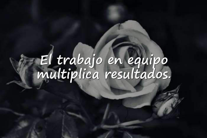 Imágenes frases de teresa - 15