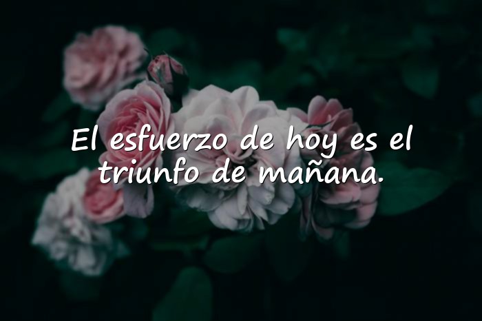 Imágenes frases de teresa - 10