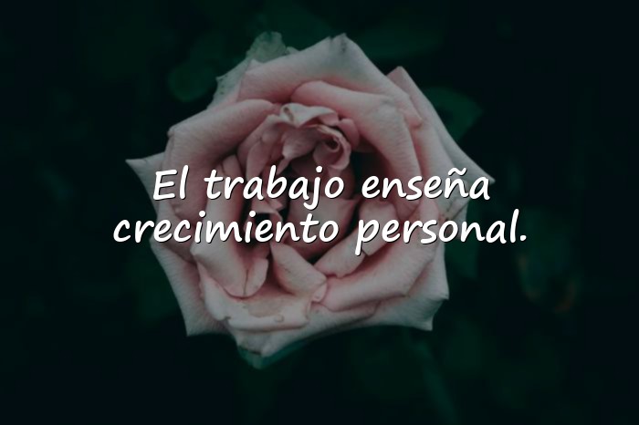 Imágenes frases de teresa - 25