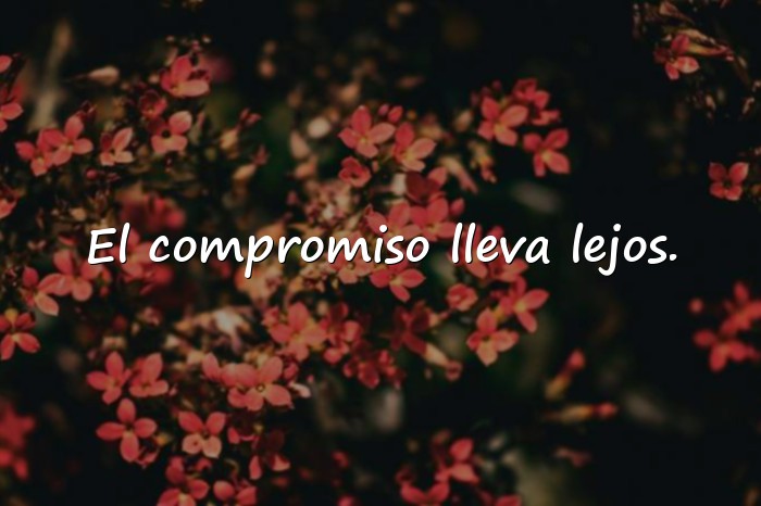 Imágenes frases de teresa - 15