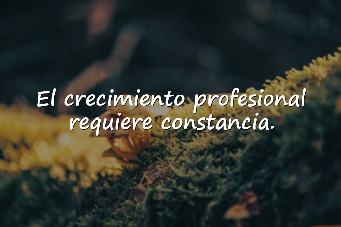 Imágenes frases de teresa - 10
