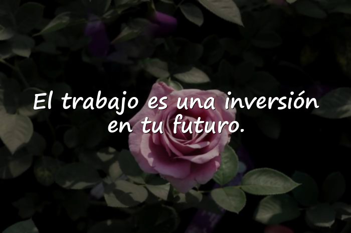 Imágenes frases de teresa - 5