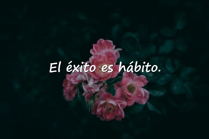 Imágenes frases de trabajo motivadoras - 21