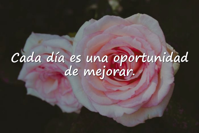 Imágenes frases de trabajo motivadoras - 4