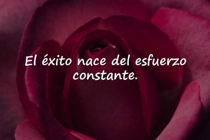 Imágenes frases de trabajo y esfuerzo - 20
