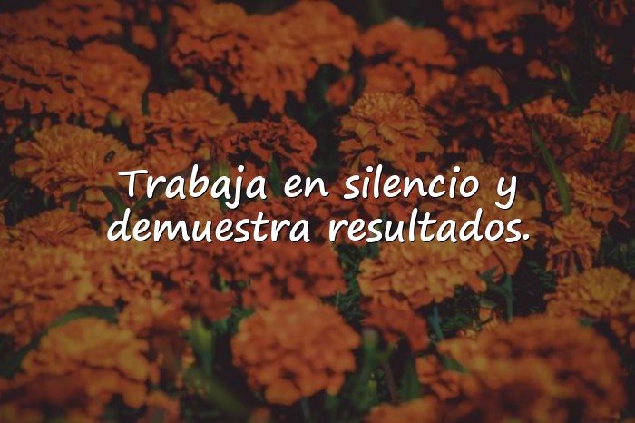 Imágenes frases de trabajo y esfuerzo - 15