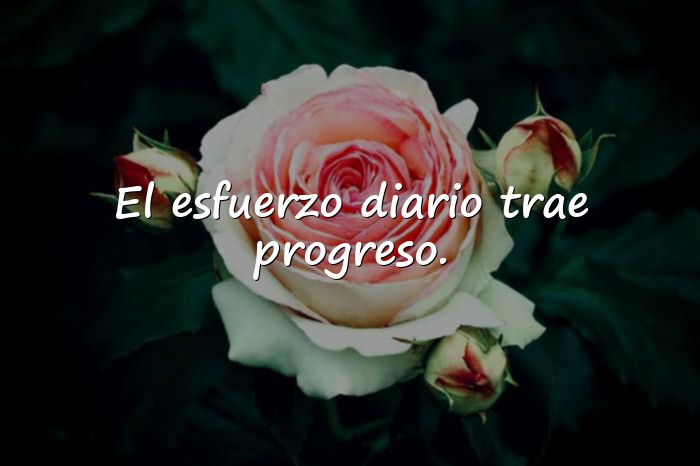 Imágenes frases de trabajo y esfuerzo - 10