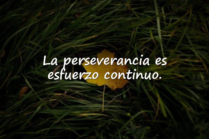 Imágenes frases de trabajo y esfuerzo - 25