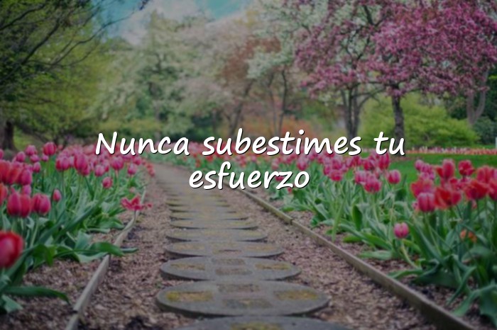 Imágenes frases de trabajo y esfuerzo - 1