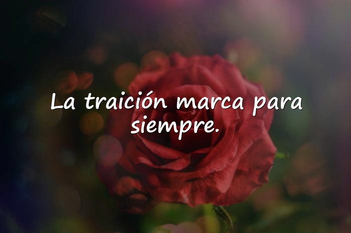 Imágenes frases de traicion - 6
