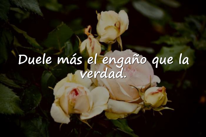 Imágenes frases de traicion - 1